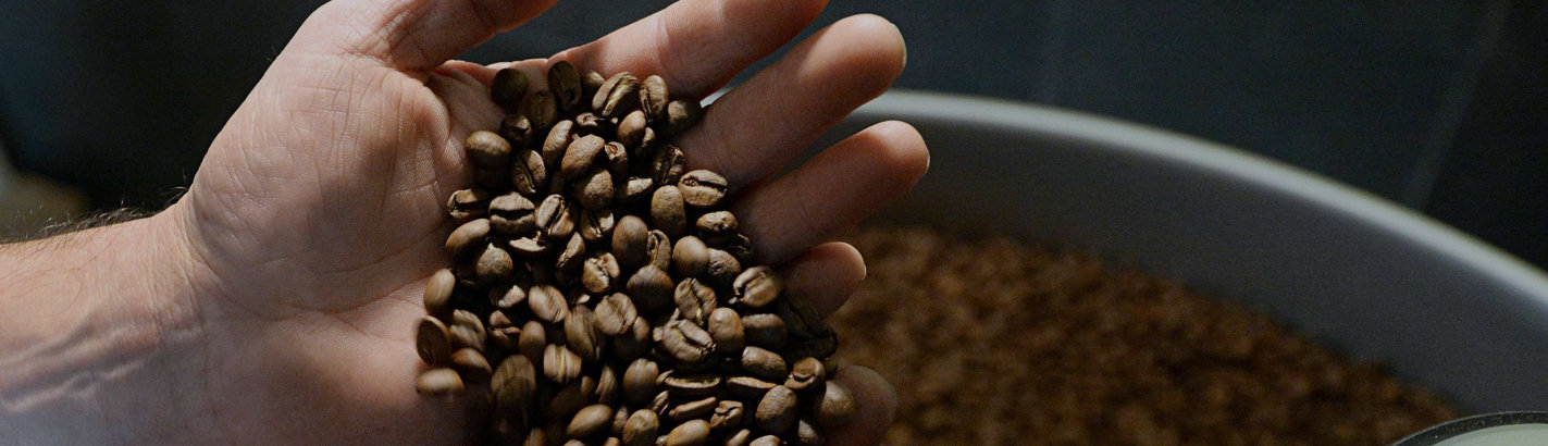 Meet the Master Roaster