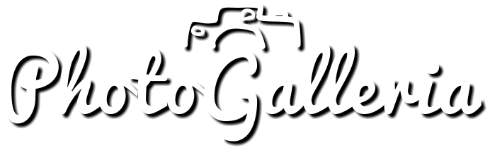Photo Gallery